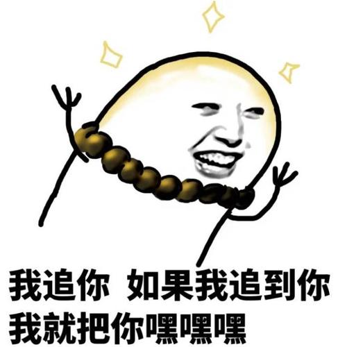 我追你，如果我追到你我就把你嘿嘿嘿