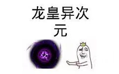 龙皇异次元