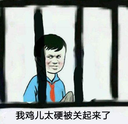 我鸡儿太硬被关起来了