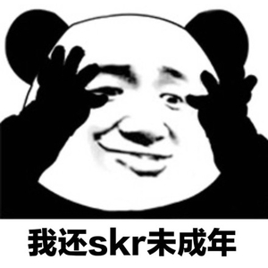 我还skr未成年