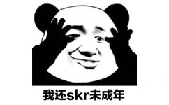 我还skr未成年