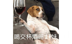 喝交杯酒吗？