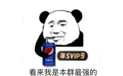 看来我是本群最强的