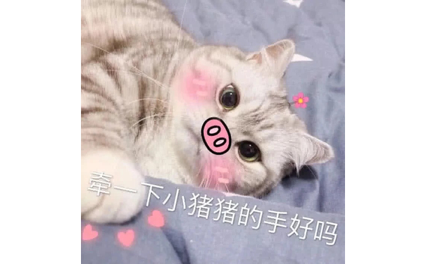 牵一下小猪猪的手好吗