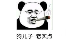 狗儿子老实点