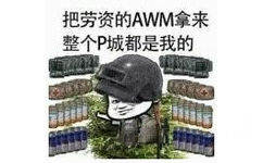 把劳资的AWM拿来，整个P城都是我的