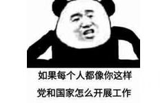 如果每个人都像你这样党和国家怎么开展工作