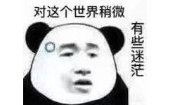 对这个世界稍微有些迷