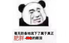 毫无防备地流下了属于真正肥胖的眼泪