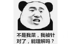 不是我菜，我被针对了，能理解吗？