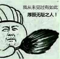 我从未见过有如此厚颜无耻之人！云云