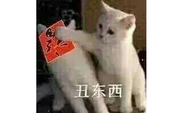 丑东西