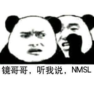 镜哥哥，听我说，NMSL（doutula.com）