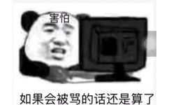 害怕如果会被骂的话还是算了