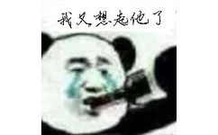 我又想起他了