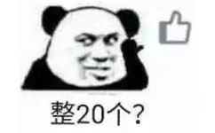 整20个？