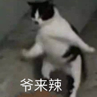 爷来辣