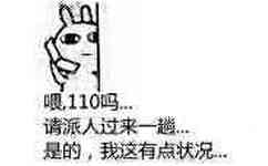 嗯110吗？请派人过来一趟是的，我这有点状况