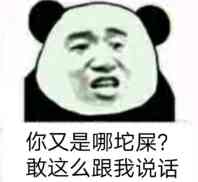 你又是哪坨屎？敢这么跟我说话