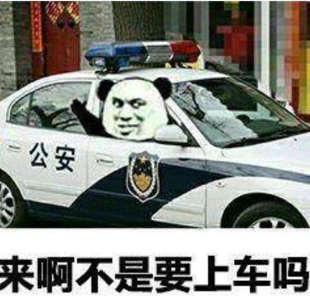 来啊，不是要上车吗？