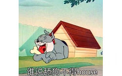 谁说舔狗不得 house