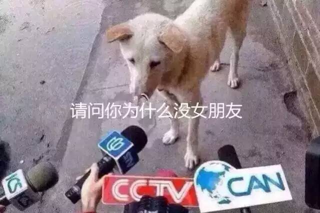 请问你为什么没女朋友