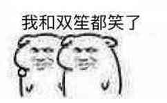 我和双笙都笑了