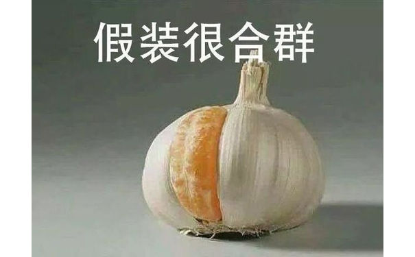 假装很合群