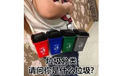 垃圾分类，请问你是什么垃圾？