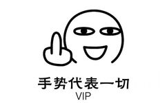 手势代表一切（VIP）