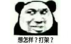 想怎样？打架？