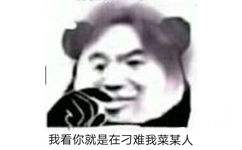 我看你就是在刁难我菜某人