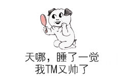 天哪，睡了一觉我TM又帅了