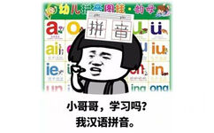 小哥哥，学习吗？我汉语拼音。