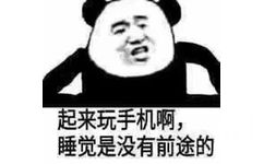 起来玩手机啊，睡觉是没有前途的