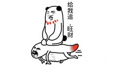 给我追，旺财