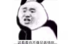 这看着也不像兄弟情啊