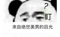 来自绝世美男的目光