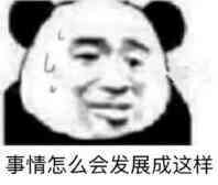 事情怎么会发展成这样