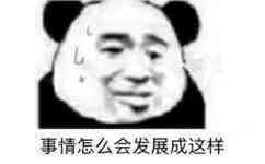 事情怎么会发展成这样