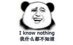 I know nothing，我什么都不知道