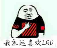 我永选喜欢LGD