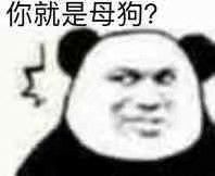 你就是母狗？