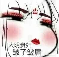 大明贵妇，皱了皱眉