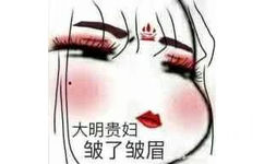 大明贵妇，皱了皱眉