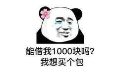 能借我1000块吗？我想买个包