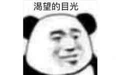 渴望的目光