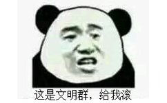 这是文明群，给我滚