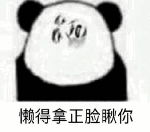 懒得拿正脸瞅你