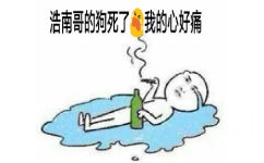 浩南哥的狗死了，我的心好痛